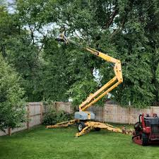 Best Tree and Shrub Care  in Fruit Cove, FL